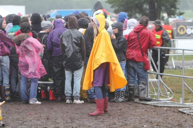 Ein kräftiges sonnengelb gegen den Regen.