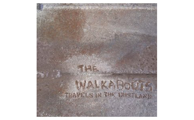 The Walkabouts - Travels In The Dustland