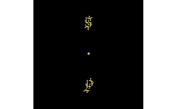 Shabazz Palaces - Black Up