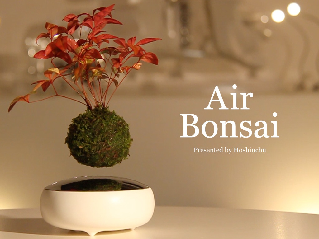 Klein und cool: der Air Bonsai
