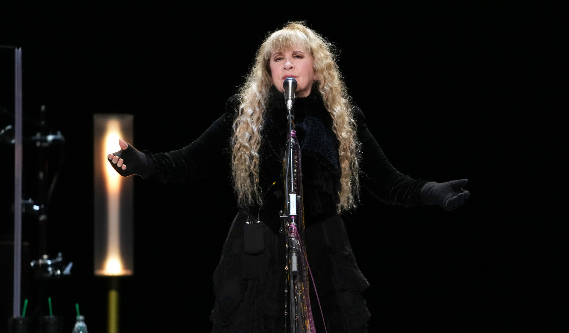 Stevie Nicks live