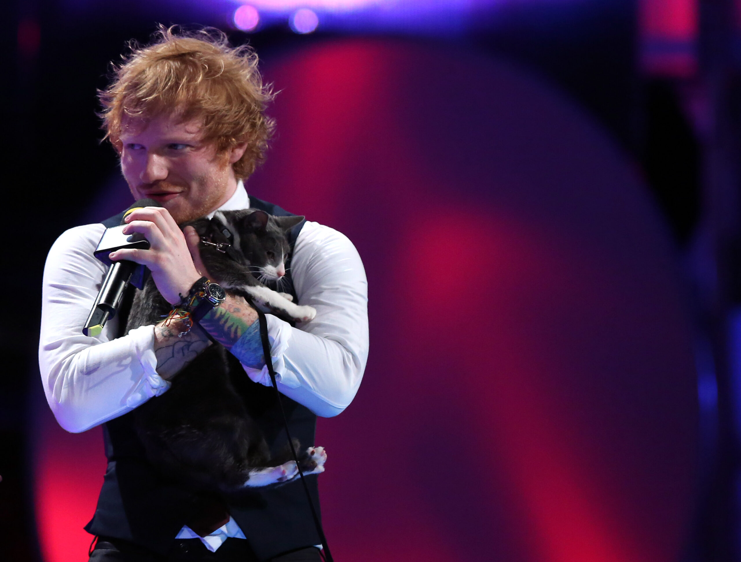 Ed Sheeran mit Katze